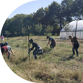 BoysGrow planting trees