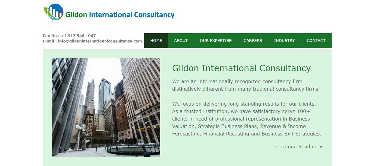 Gildon International Consultancy Review