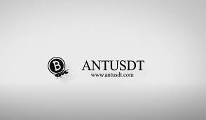 AntUSDT review